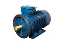 Electric motors LAEG